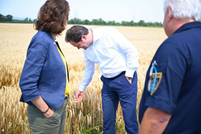 Herr Bundesminister Totschnig und Frau Bundesministerin Zadic besuchten die Justizanstalt in Hirtenberg.Hier wird ein landwirtschaftlicher Betrieb gef&uuml;hrt, welcher unter anderem durch die Insassen bewirtschaftet wird.