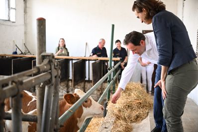 Herr Bundesminister Totschnig und Frau Bundesministerin Zadic besuchten die Justizanstalt in Hirtenberg.Hier wird ein landwirtschaftlicher Betrieb gef&uuml;hrt, welcher unter anderem durch die Insassen bewirtschaftet wird.
