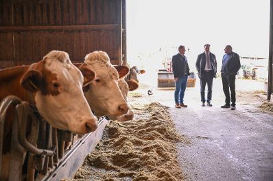 Im Rahmen eines Bundesl&auml;ndertages in K&auml;rnten besuchte Herr Bundesminister Norbert Totschnig den Betrieb der Familie Weber.