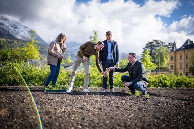 Garteln mitten in Innsbruck: Bundesminister Norbert Totschnig stattete den Gewinnerinnen und Gewinnern des Urban Gardening-Gewinnspiels beim Innsbrucker Hofgarten einen Besuch ab. Im Bild (v.l.n.r.): Sandra und Martin (Gewinner), David Seidemann von der Biog&auml;rtnerei Seidemann , Bundesminister Norbert Totschnig;