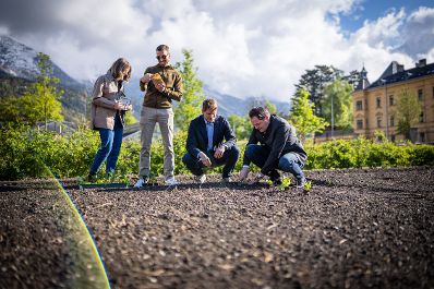 Garteln mitten in Innsbruck: Bundesminister Norbert Totschnig stattete den Gewinnerinnen und Gewinnern des Urban Gardening-Gewinnspiels beim Innsbrucker Hofgarten einen Besuch ab. Im Bild (v.l.n.r.): Sandra und Martin (Gewinner), David Seidemann von der Biog&auml;rtnerei Seidemann , Bundesminister Norbert Totschnig;