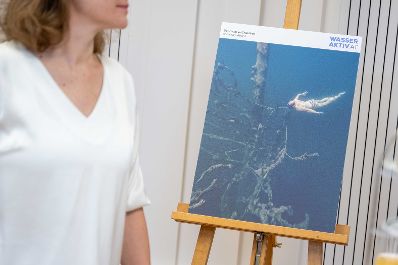 Im Rahmen des Wasseraktiv Fotowettbewerbs 2025 wurden die Gewinnerinnen und Gewinner im Bundesministerium f&uuml;r Land- und Forstwirtschaft, Klima- und Umweltschutz, Regionen und Wasserwirtschaft ausgezeichnet. Publikumsvoting 3. Platz: &quot;Der Baum im Grundlsee&quot; von Barbara Anderl