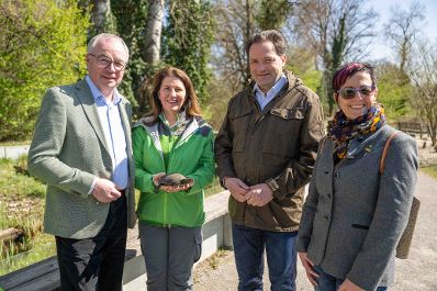 Im schlossORTH Nationalpark machte Bundesminister Norbert Totschnig gemeinsam mit LH-Stv. Stephan Pernkopf einen Rundgang auf der Schlossinsel und besichtigte die neuen Attraktionen.