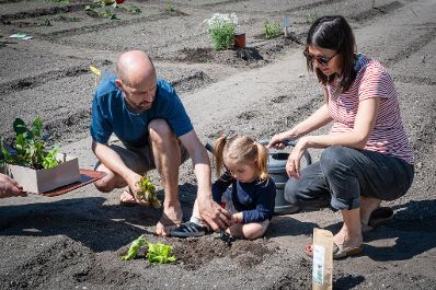 Garteln mitten in Innsbruck: Bundesminister Norbert Totschnig stattete den Gewinnerinnen und Gewinnern des Urban Gardening-Gewinnspiels beim Innsbrucker Hofgarten einen Besuch ab.