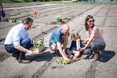 Garteln mitten in Innsbruck: Bundesminister Norbert Totschnig stattete den Gewinnerinnen und Gewinnern des Urban Gardening-Gewinnspiels beim Innsbrucker Hofgarten einen Besuch ab. Im Bild: Bundesminister Norbert Totschnig mit Gewinner Dominik und Gewinnerin Sabine und deren Tochter