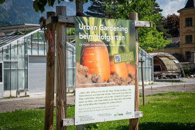 Garteln mitten in Innsbruck: Bundesminister Norbert Totschnig stattete den Gewinnerinnen und Gewinnern des Urban Gardening-Gewinnspiels beim Innsbrucker Hofgarten einen Besuch ab.