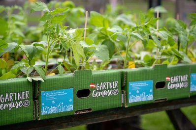 Garteln mitten in Wien: Bundesminister Norbert Totschnig stattete den Gewinnerinnen und Gewinnern des Urban Gardening-Gewinnspiels beim Wiener Augarten einen Besuch ab.