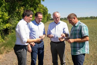 Bundesminister Norbert Totschnig, LH-Stv. Stephan Pernkopf, Landwirtschaftskammer N&Ouml;-Vizepr&auml;sident Lorenz Mayr machten sich am Betrieb von Christian Gasselich in Lassee selbst ein Bild der prek&auml;ren Lage.