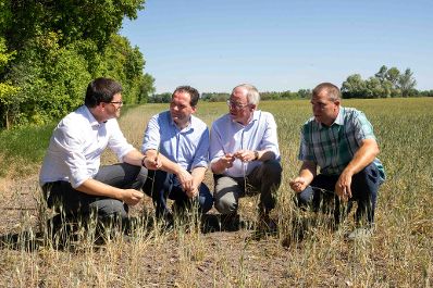 Bundesminister Norbert Totschnig, LH-Stv. Stephan Pernkopf, Landwirtschaftskammer N&Ouml;-Vizepr&auml;sident Lorenz Mayr machten sich am Betrieb von Christian Gasselich in Lassee selbst ein Bild der prek&auml;ren Lage.