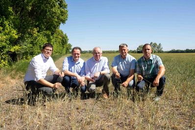 Bundesminister Norbert Totschnig, LH-Stv. Stephan Pernkopf, Landwirtschaftskammer N&Ouml;-Vizepr&auml;sident Lorenz Mayr machten sich am Betrieb von Christian Gasselich in Lassee selbst ein Bild der prek&auml;ren Lage.