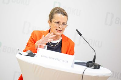 Bei einer Pressekonferenz an der BOKU University wurden neue Impulse pr&auml;sentiert, um den Holzbau in &Ouml;sterreich zu f&ouml;rdern. Dazu z&auml;hlen unter anderem die neue Stiftungsprofessur an der BOKU University und der erste &Ouml;sterreichische Staatspreis f&uuml;r Holzbau.