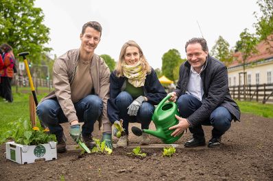 Jedes Jahr werden 120 Beete beim Wiener Augarten an Wienerinnen und Wiener verlost. Am 15. April 2026 erfolgte die Beet&uuml;bergabe an die Gewinnerinnen und Gewinner. Herr Bundesminister Norbert Totschnig nahm bei der &Uuml;bergabe teil.