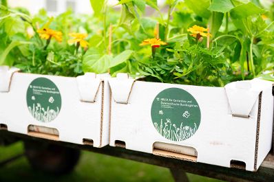 Jedes Jahr werden 120 Beete beim Wiener Augarten an Wienerinnen und Wiener verlost. Am 15. April 2026 erfolgte die Beet&uuml;bergabe an die Gewinnerinnen und Gewinner. Herr Bundesminister Norbert Totschnig nahm bei der &Uuml;bergabe teil.