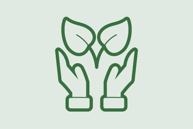  Icon Climate and Environment