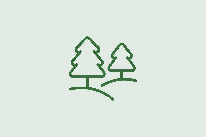 Icon forests