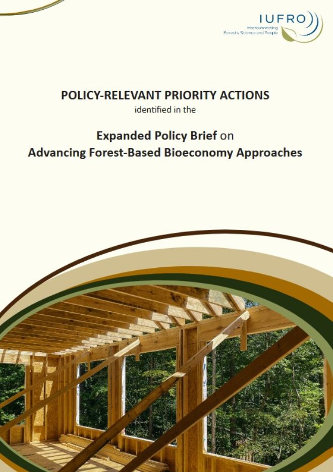 Preview: Advancing Forest-Based Bioeconomy Approaches: An Expanded Policy Brief