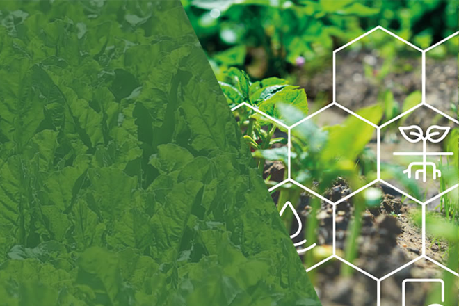 Logo Grüner Bericht