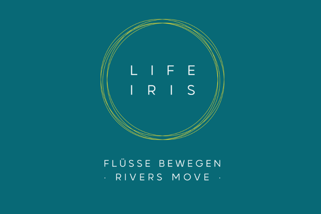 Logo ILFE IRIS