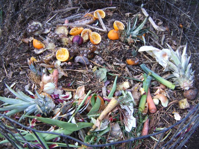 compost