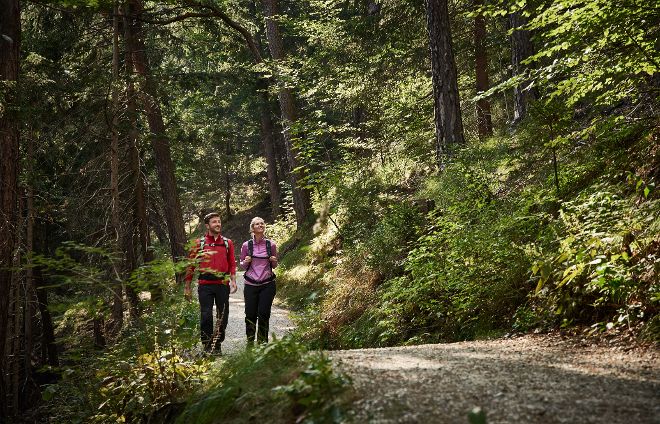 Hikers hike through the forest