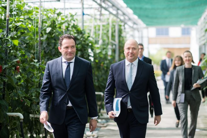 Präsentation Agrarstrukturerhebung 2020