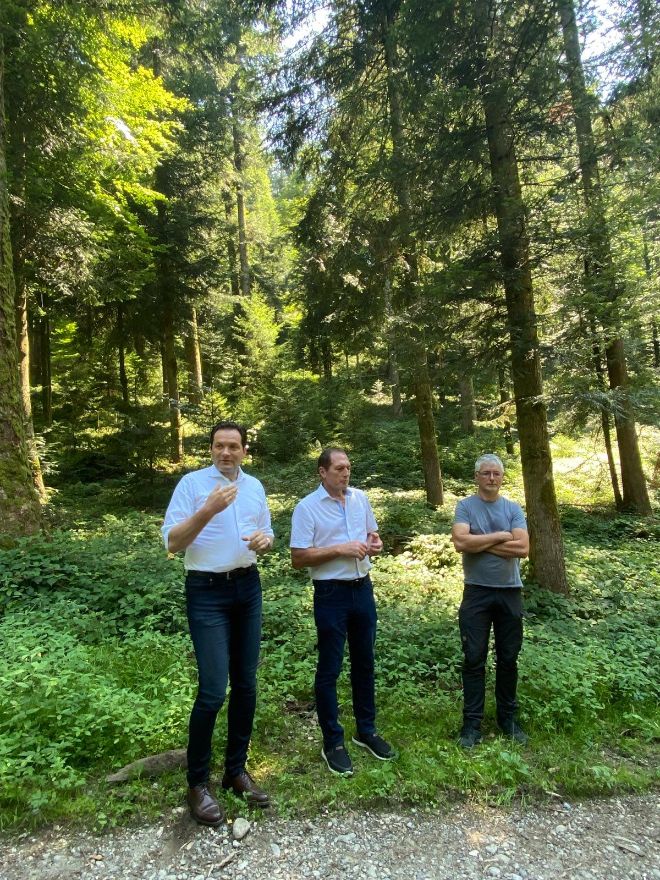 Mehr klimafitte Mischwälder durch Waldfonds