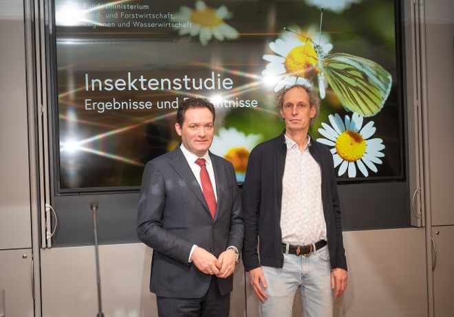 Insektenstudie
