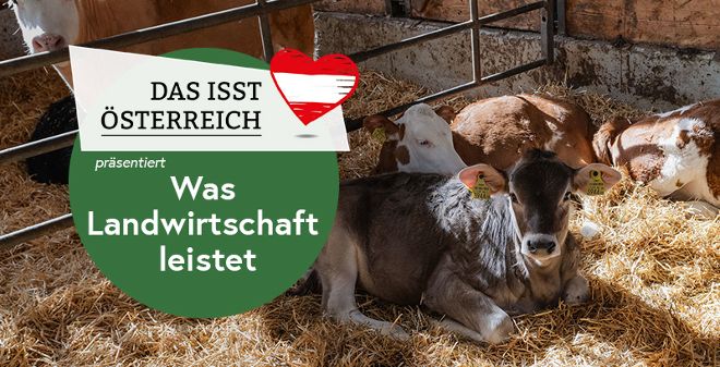 Foto in einem Kuhstall und der Text "Was Landwirtschaft leistet"