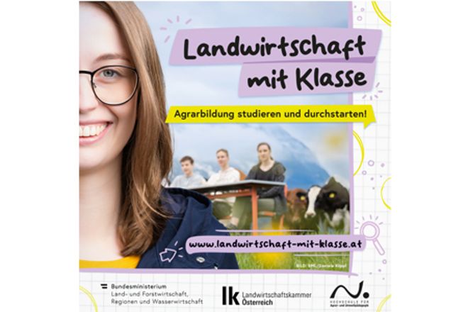 Das Bild zeigt einen Screenshot eines Sharepics mit einer Junglehrerin