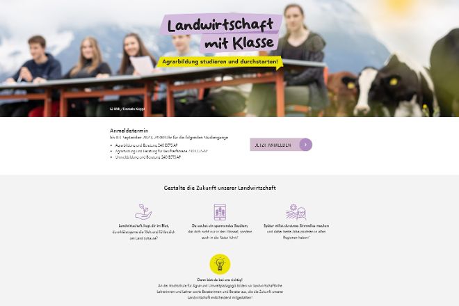 Das Bild zeigt Schülerinnen und Schüler auf einer Wiese