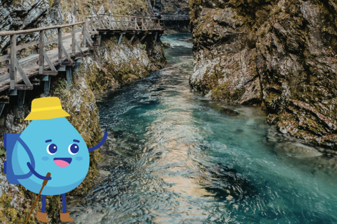 Wasserwanderwochen