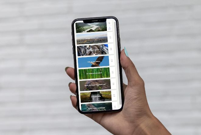 Wasserquiz App