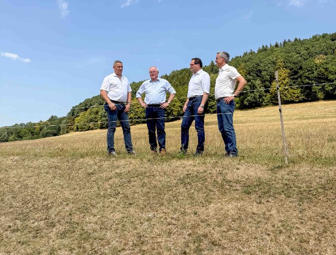 Vier Männer in Hemden und Jeans stehen auf einer Wiese vor einem Wald unter blauem Himmel