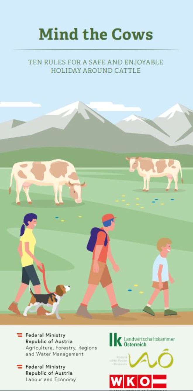 Cover Mind the Cows