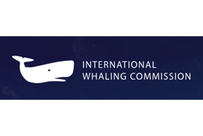 Logo Internationale Walfischkommission