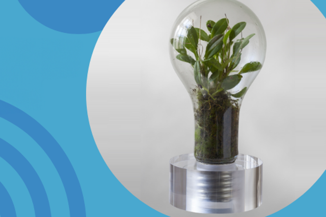 Logo Sustainability Award