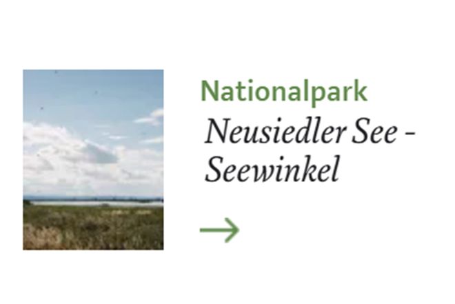 Nationalpark Neusiedler See - Seewinkel