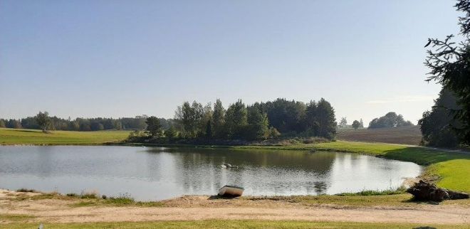 Teich