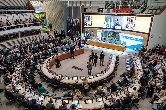 Plenarsaal