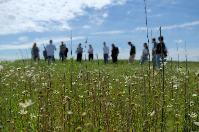 Menschen auf dem Acker besprechen Anlage und Pflege von Biodiversitätsflächen.