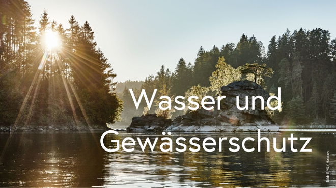 See von NAdelwald umgeben. Sonne blitzt durch die Wipfel. Im See liegt eine von Gehölzen bewachsene steinige Insel.
