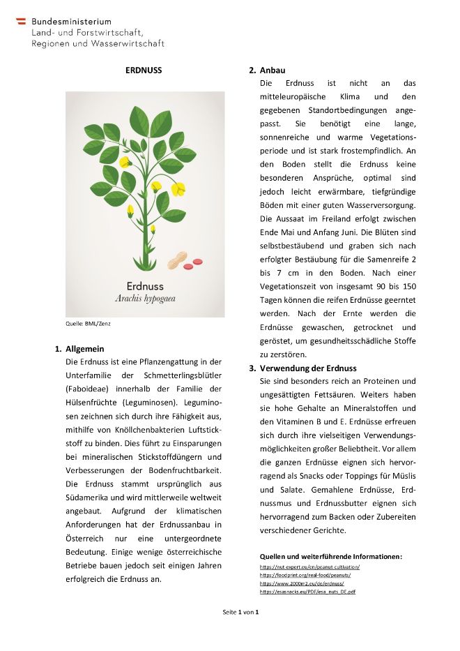 Factsheet Erdnuss
