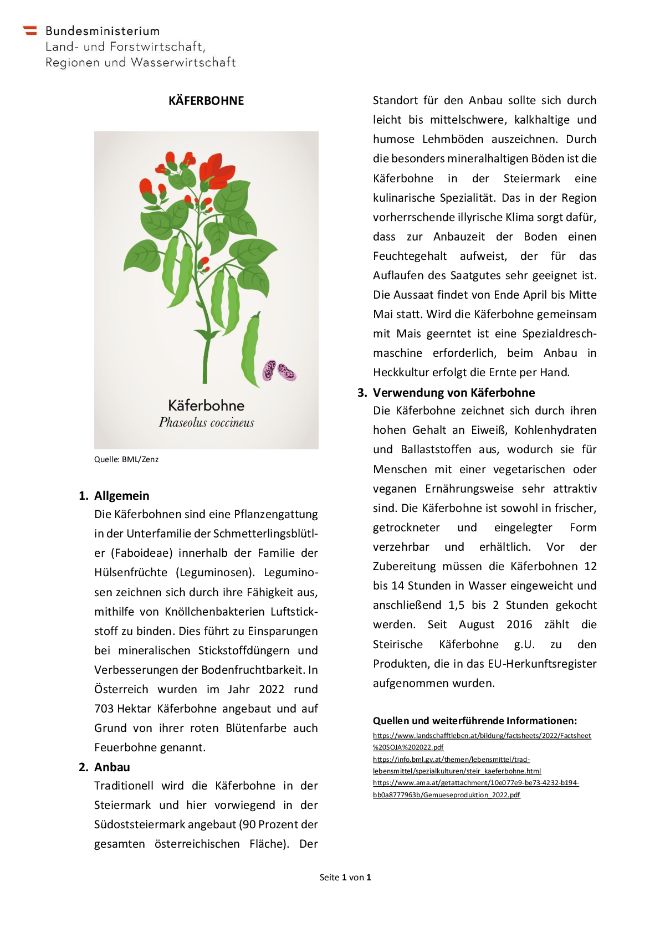 Factsheet Käferbohne