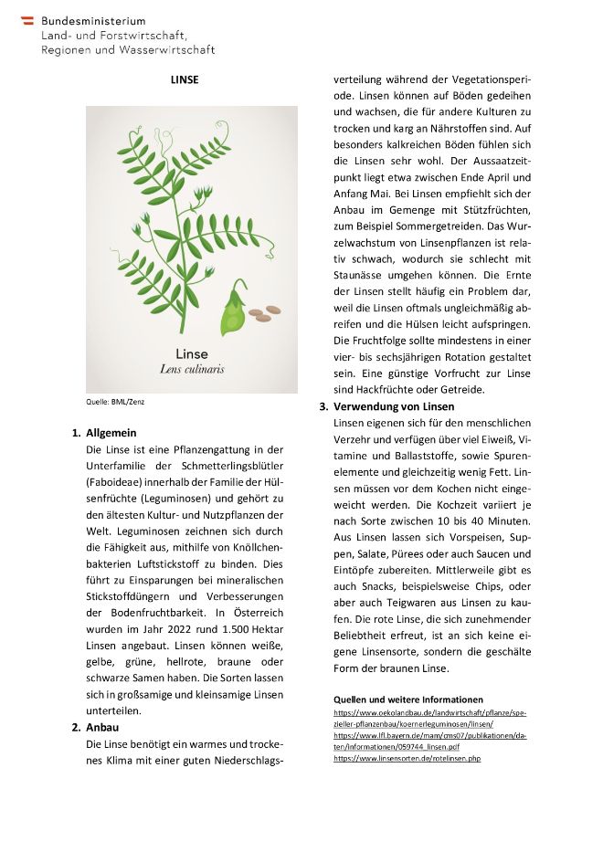 Factsheet Linse