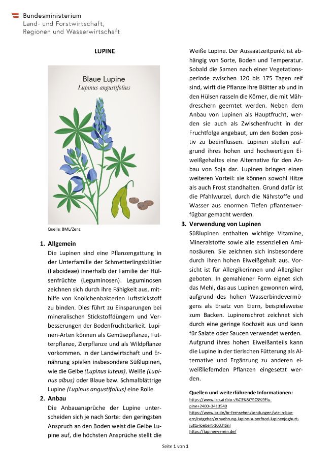Factsheet Lupine