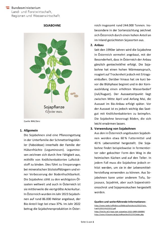 Factsheet Sojabohne