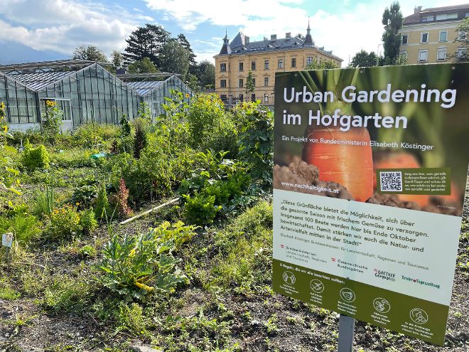 Das Bild zeigt die Urban Gardening-Beete beim Innsbrucker Hofgarten
