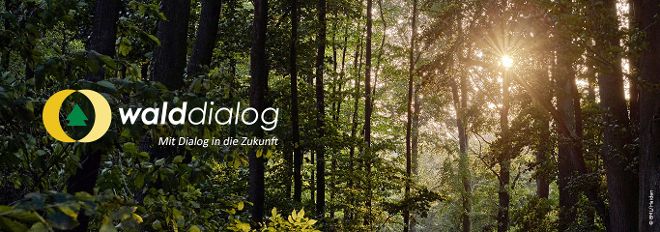 Foto eines Waldes mit Logo Walddialog und Text mit Dialog in die Zukunft