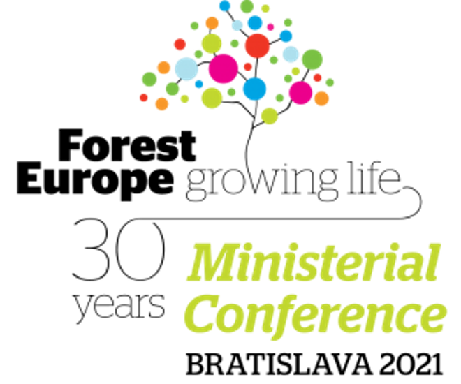 Logo 30 Jahre Forest Europe