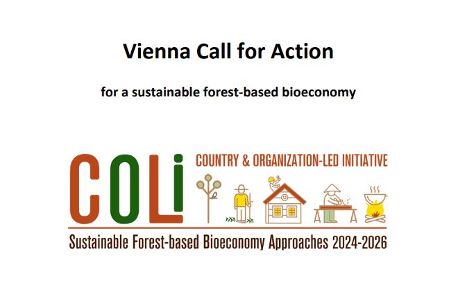 Titelblatt des COLI Vienna Call for Action